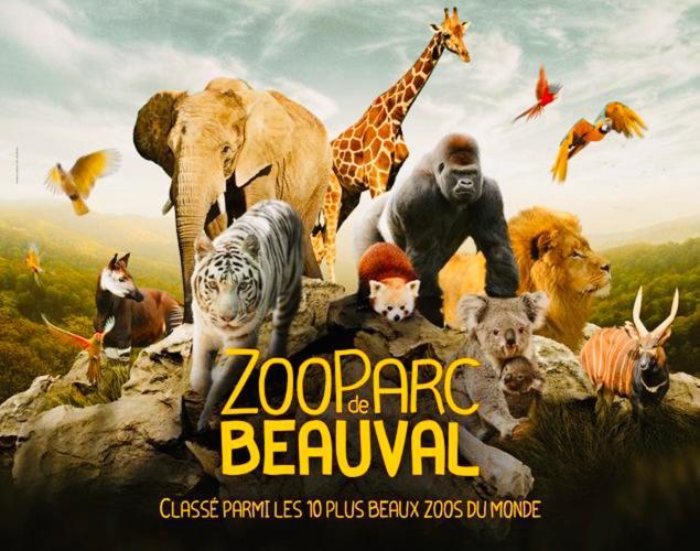 Auberge Du Chant Du Coq Anjouin Ngoại thất bức ảnh